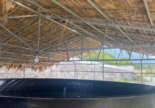 Kỹ thuật nuôi Cá Lăng đen (Hemibagrus wyckioides) trong ao lót bạt  theo hướng tuần hoàn - sinh thái tại Ban quản lý Khu bảo tồn  thiên nhiên Pù Luông.