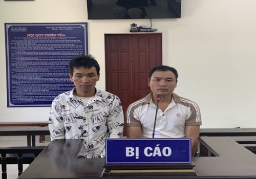 BẢN ÁN NGHIÊM MINH CHO HÀNH VI XÂM HẠI "LÁ PHỔI XANH" PÙ LUÔNG: BÀI HỌC ĐẮT GIÁ VỀ Ý THỨC PHÁP LUẬT